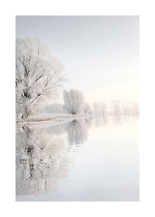  – Fotografie zasněžených stromů s jejich odrazem v poklidné hladině jezera