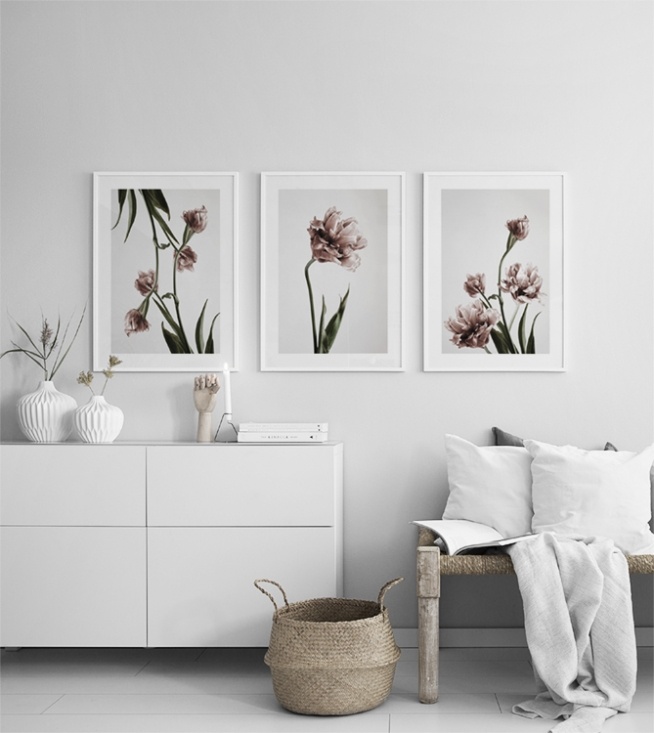  – Fotografie svazku plně rozkvetlých růžových tulipánů na šedém pozadí