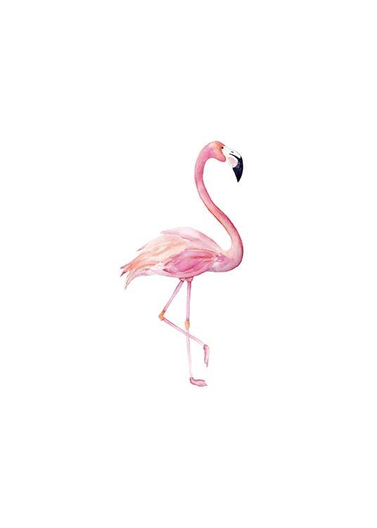 Flamingo Aquarelle  Plakát