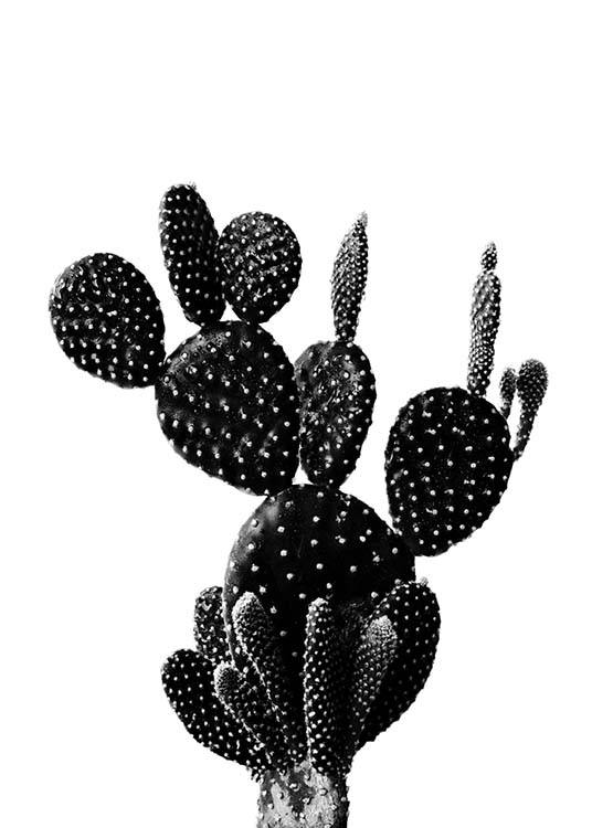 Black Cactus One Plakát