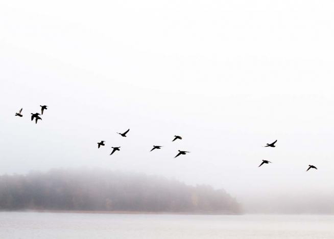 Birds Over Lake Plakát