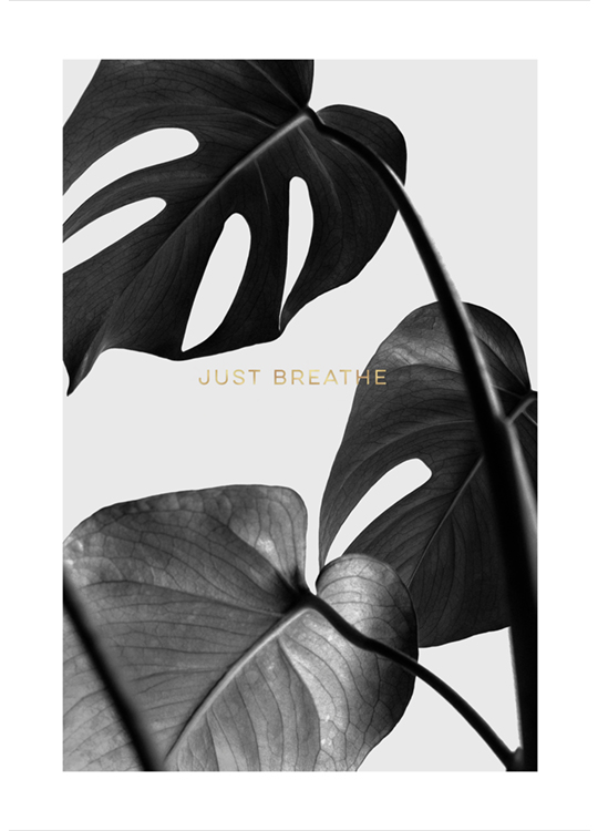 Remember To Breathe Plakát