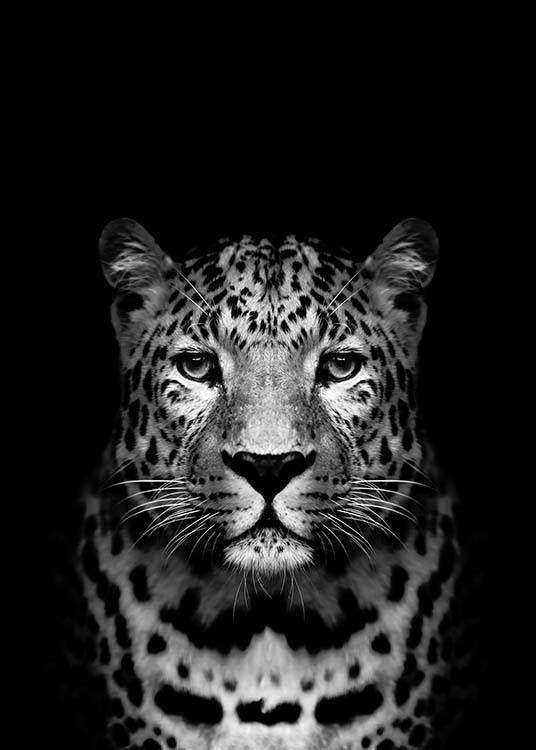 Leopard B&W Plakát