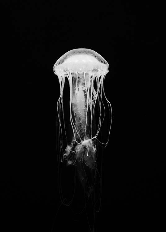 Jellyfish B&W Plakát