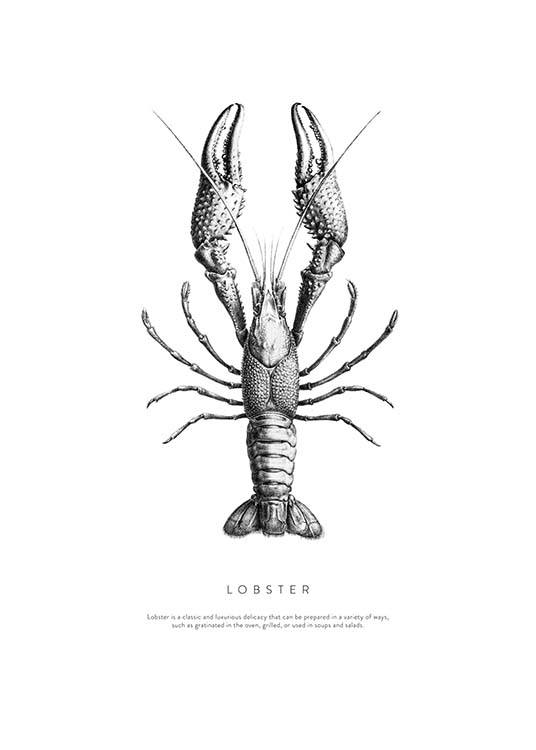 Lobster No1 Plakát
