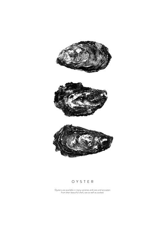 Oyster Three Plakát