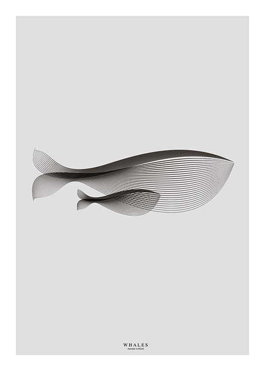 Whales In Moiré Plakát