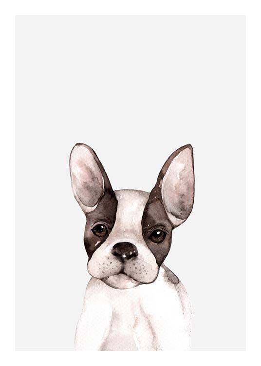 Little Puppy Plakát