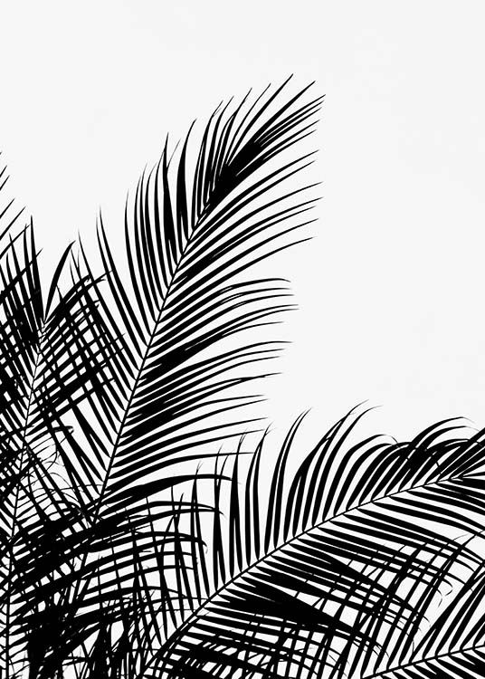 Black Palm Tree Two Plakát