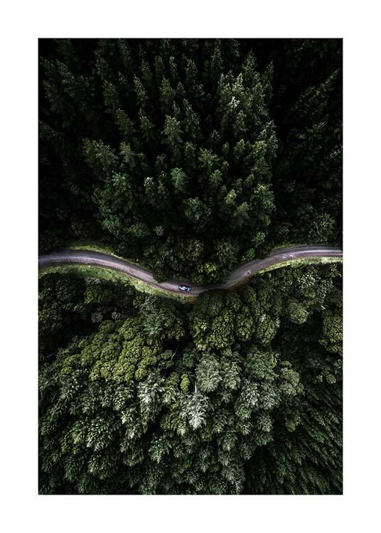 Forest Road Plakát