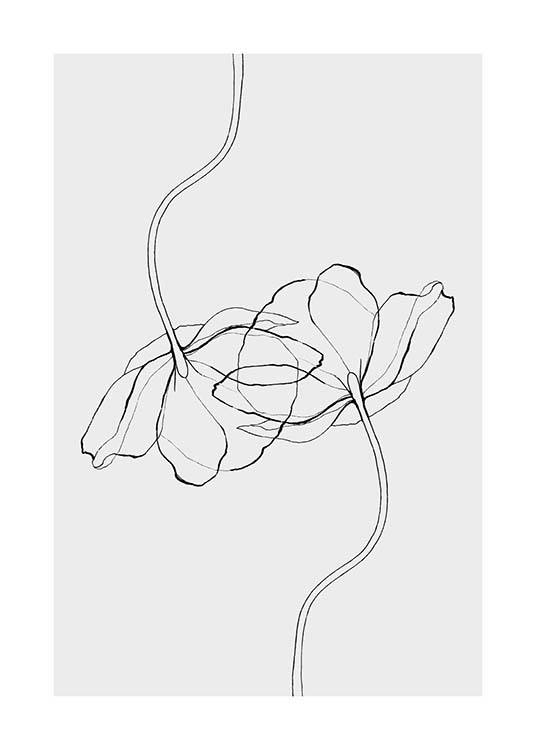 Line Poppies Plakát