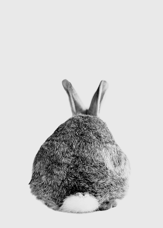 The Cutest Thing Plakát