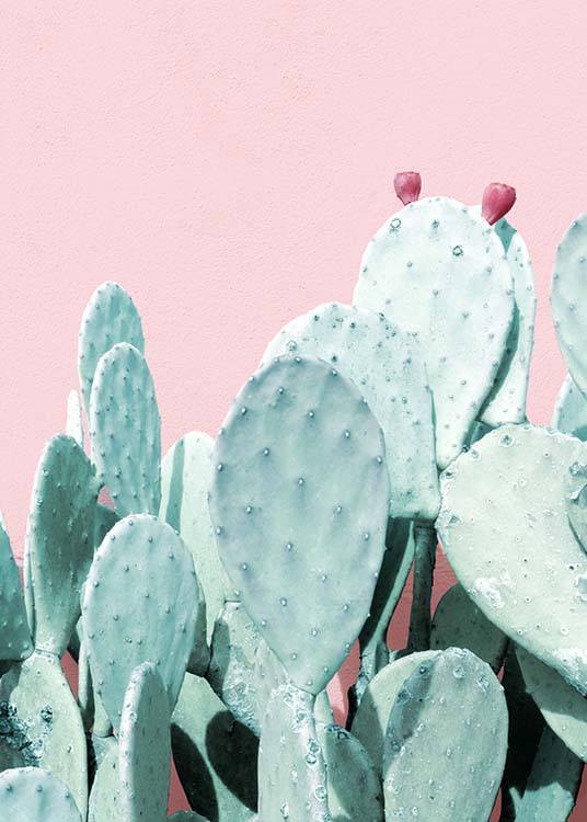 Pastel Cactus No3 Plakát