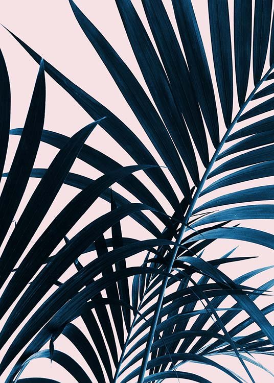 Blue Leaves On Pink No2 Plakát