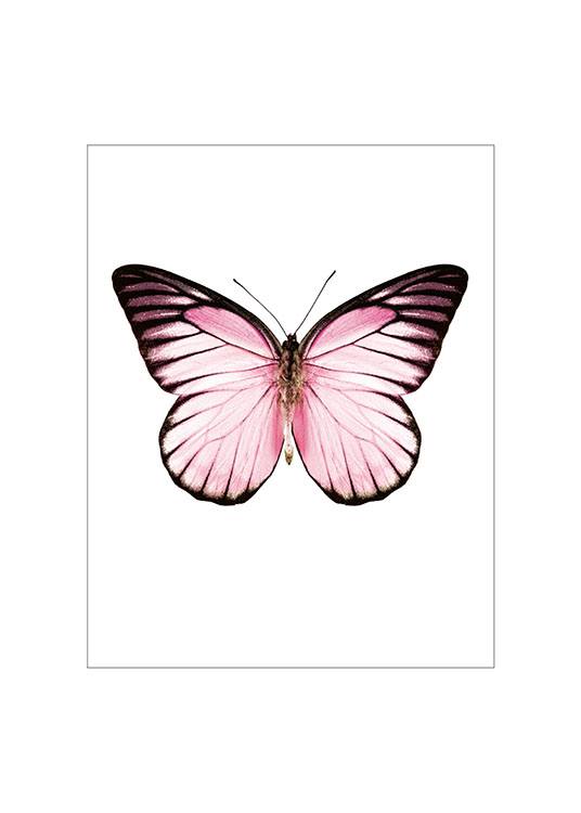 Pink Butterfly Small Plakát 