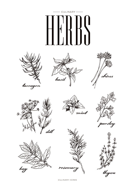 Herbs, Plakát
