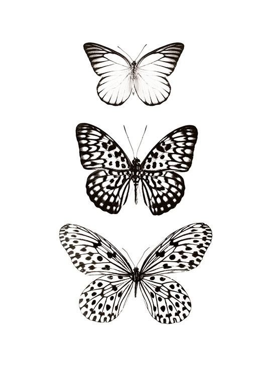 Three Butterflies, Plakát