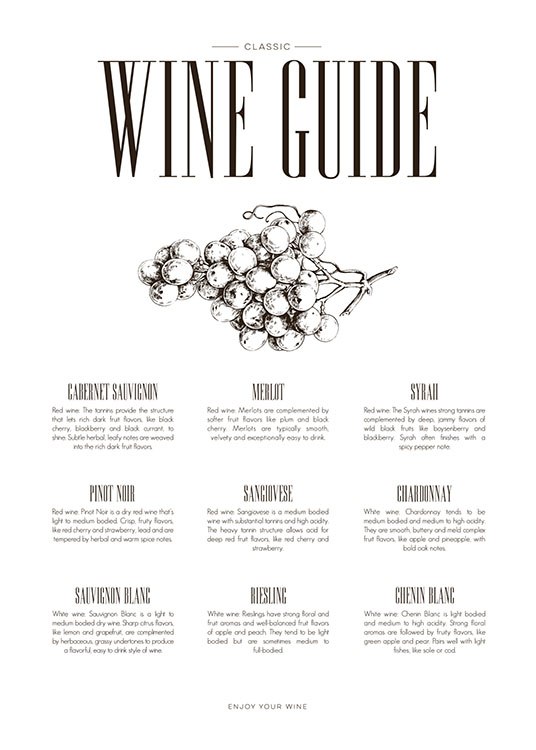 Wine Guide, Plakát