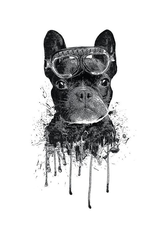 French Bulldog, Plakát