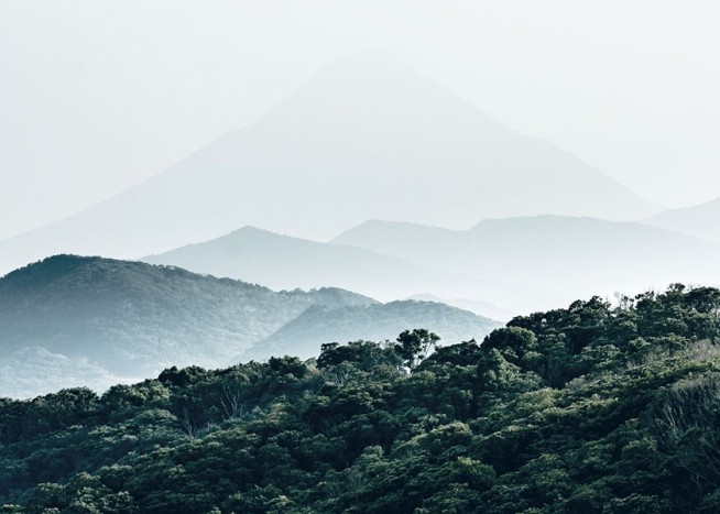 Forest Hills, Plakát