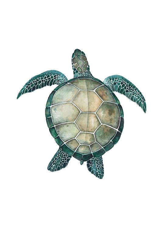 Sea Turtle, Plakát