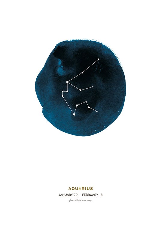 Aquarius Plakát