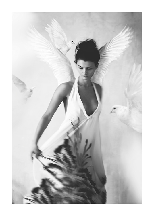 Tove Frank Halo Plakát