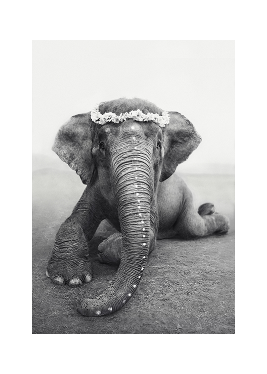 Love Warriors Sweetest Adele Plakát