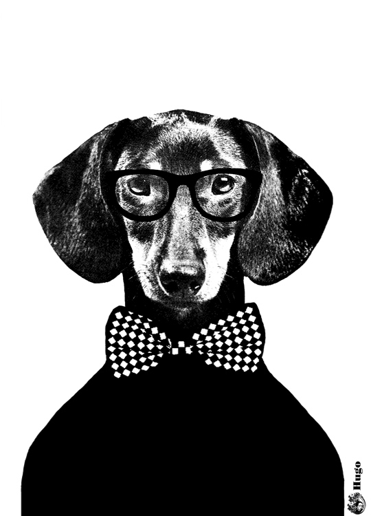 Lisa Bengtsson Hugo, Plakát