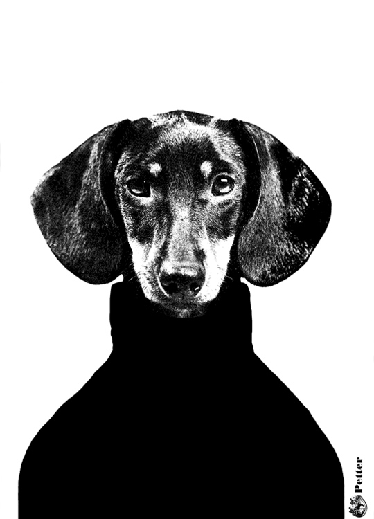 Lisa Bengtsson Petter, Plakát