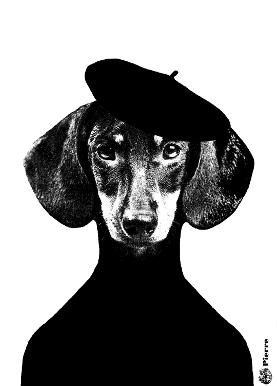 Lisa Bengtsson Pierre, Plakát