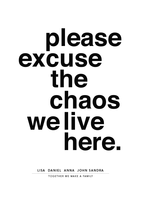 Please Excuse the Chaos Personal Plakát
