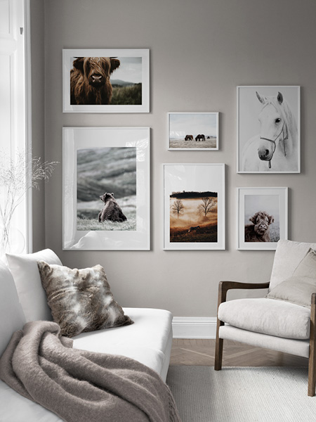 Plakáty se zvířaty